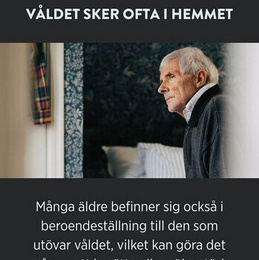 Modell jämställdhetsmyndigheten