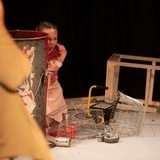 Vente på Fugl (2024)