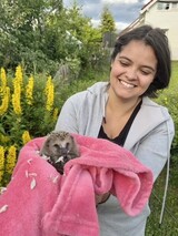 When I met Sonic When I met Sonic