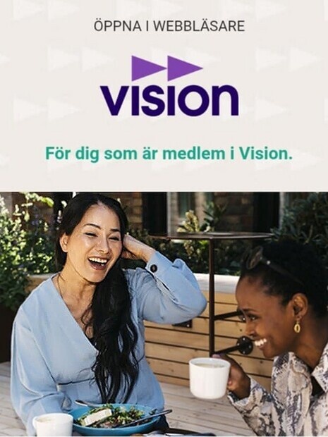 modell till Vision