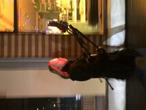 Musikkvideo høst 2022. Musikkvideo høst 2022.