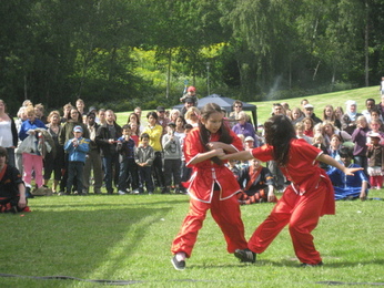 Kung fu uppvisning