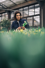 boomerang reklam boomerang reklam