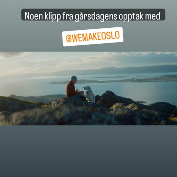 Intern film