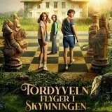 Tordyveln flyger i skymningen
