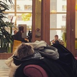 SVT Barnkanalen SVT Barnkanalen