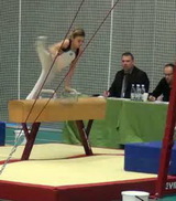 Sv Cupen bygelhäst Sv Cupen bygelhäst