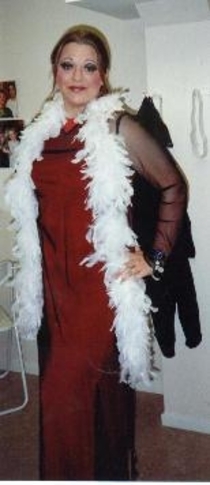 Julshow