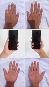 Handmodell Handmodell