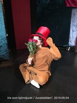 Juvelstölden Juvelstölden