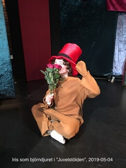 Juvelstölden Juvelstölden