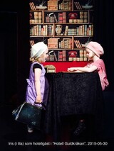 Hotell Guldkrkan