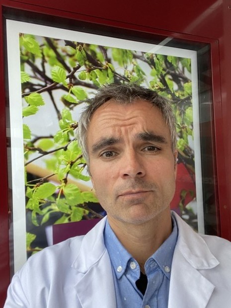 Lege, Doktor, intellektuell Lege, Doktor, intellektuell