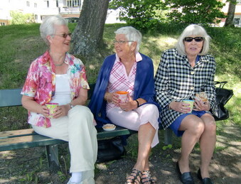 Pilot, TV-dokumentär Pilot, TV-dokumentär