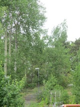 Hus för TV-inspelning Hus för TV-inspelning