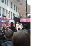 limited too limited too