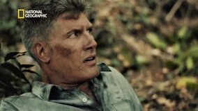 Jungle Crash