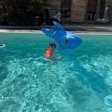 Reklam Salvequick Reklam Salvequick