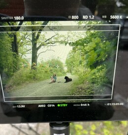 WASA reklamfilm WASA reklamfilm