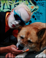 Bilde med hund fra skateparken