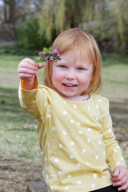 Barnehagen Barnehagen