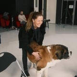 Statistansvarig Statistansvarig