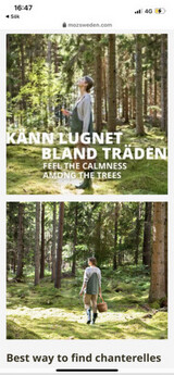 Rolig fotografering
