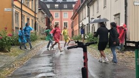 delikatesskungen delikatesskungen