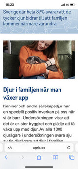 Rolig fotografering