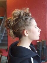 Hår til Aslan Hår til Aslan