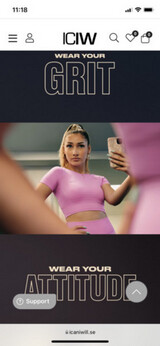 Modell - I Can I Will Modell - I Can I Will