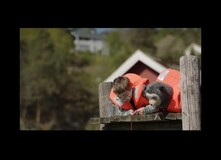 Brillebjørn på Ferie Brillebjørn på Ferie