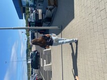 tvangs-bilde av mamma tvangs-bilde av mamma