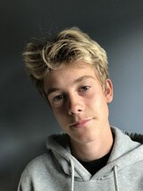 Statist og model Statist og model