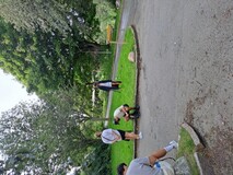 Halva Halva Halva Halva