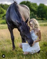 Modell med djur Modell med djur