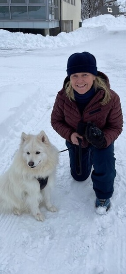 Reklame for Huyndai Reklame for Huyndai