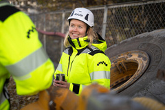 TOOLS, Bonobos TOOLS, Bonobos