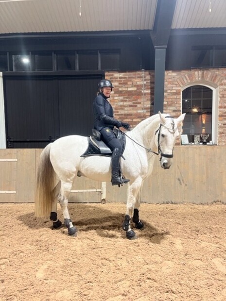 Reklam för varumärke Reklam för varumärke