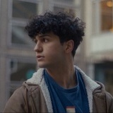 Poliserna i Vldsvgen