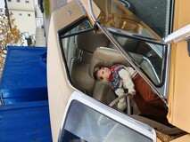 Morten Harket som barn Morten Harket som barn