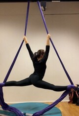 Aerial silks Aerial silks