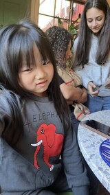 Mini Rodini