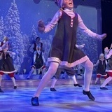 Reisen til julstjernen