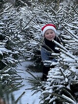 Julemarked Julemarked