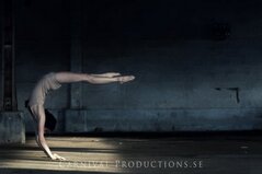 Fotograf: Jonas Eriksson Fotograf: Jonas Eriksson