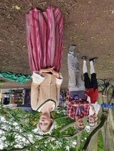 Cajsa Warg Cajsa Warg