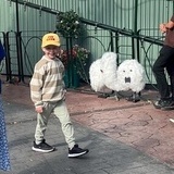 Gnuttarna på Gröna lund