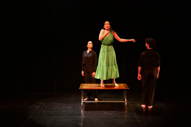 Festival International of Flamenco Oslo