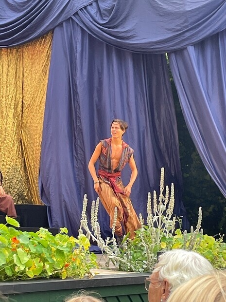 Aladdin the musical